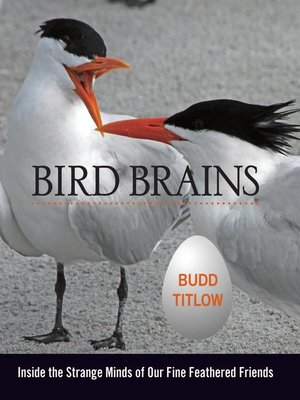 cover image of Bird Brains